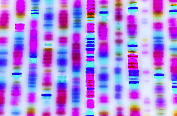 DNA sequence