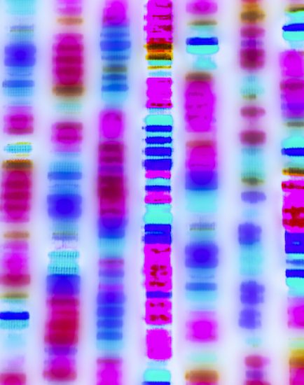 DNA sequence