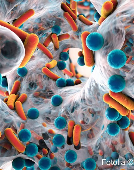 Biofilm of antibiotic resistant bacteria, closeup view. Rod-shaped and spherical bacteria. Escherichia coli, Pseudomonas aeruginosa, Mycobacterium tuberculosis, Klebsiella, Staphylococcus aureus, MRSA